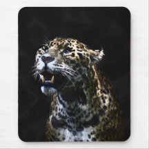 Katze Jaguars wilde Tier-Liebhaber Grafik Mousepads