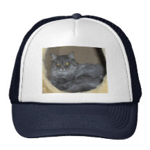 Katze Trucker Caps