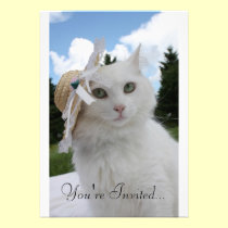 Katze und der Hut einladungen