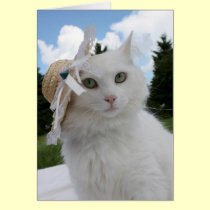 Katze und der Hut karten