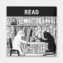 Katze und Hund in der Bibliothek Magnete
