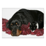 Katze und Hundweihnachten Karten