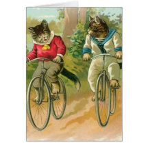 Katzen, die Fahrräder reiten Karte