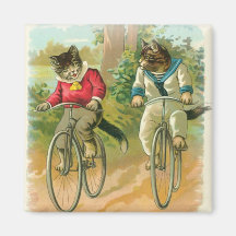 Katzen, die Fahrräder reiten Magnete