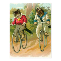 Katzen, die Fahrräder reiten Postkarte