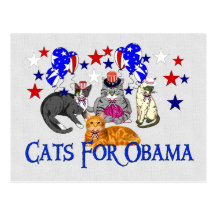 KATZEN FÜR OBAMA POSTKARTE