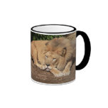 Katzen-Kaffeetasse
