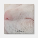 Katzen-Liebe-Magnet Kühlschrankmagnete