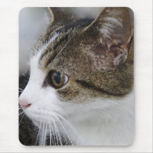 Katzen-Mausunterlage Mousepad