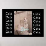 Katzen mischen herein Plakat