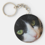 Katzen Schlüsselband