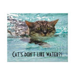 Katzen-Schwimmen eingewickelte Leinwand Leinwanddruck