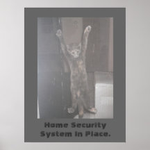 Katzen-Sicherheits-Plakat