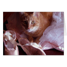 Katzen-und Ballett-Pantoffel Grußkarte