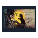 Katzen-warnende Eulen-Vintage Halloween-Postkarte