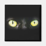 Katzenaugen-, Schwarz-und Gelb-Starren Kühlschrankmagnet