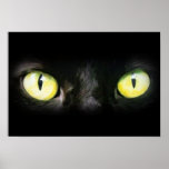 Katzenaugen-, Schwarz-und Gelb-Starren Plakatdrucke