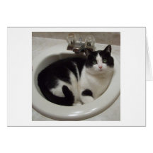 Katzenliebhaberfreude Karte