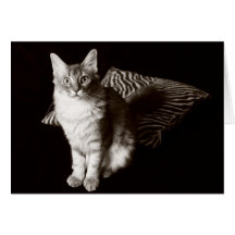 Katzenporträt des Sepia 11480 Karten