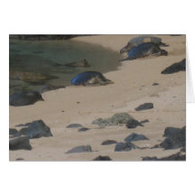 Kauai honu karte