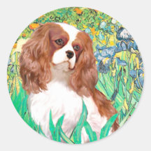 Kavalier 2 (Querstation) - Iris Sticker