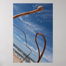 Kelp am Strand (Half Moon Bay) Posterdrucke