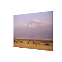 Kenia: Amboseli Nationalpark, Elefanten und Galerie Falt Leinwand