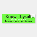 Kennen Sie Thyself Autoaufkleber