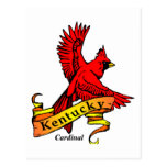 Kentucky-Staats-Vogel Postkarte