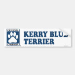 Kerry-Blau-Terrier-Blau Auto Aufkleber