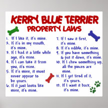KERRY-BLAU TERRIER PL2 POSTERDRUCKE