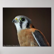 KESTRAL PLAKATDRUCK