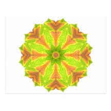 Key Lime Green Tropical Mandala Postcard