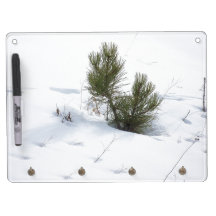 Kiefer Schnee-im trockenen Löschen-Brett Memoboard