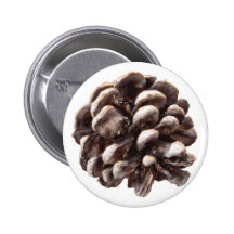 Kiefern-Kegel-Knopf Anstecknadelbuttons