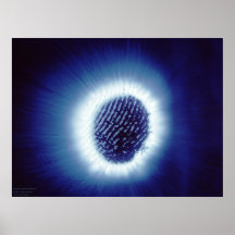 Kirlian Foto der Finger-Spitze Posterdrucke