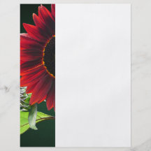 Kirsch-und Schokoladen-Sonnenblume Flyer