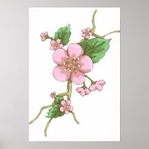 Kirschblüte-Blüten Posterdruck