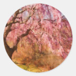 Kirschblüte - ein schöner Frühlingstag Runde Aufkleber