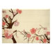 Vorne