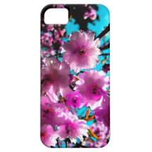 Kirschblüten iPhone 5 Schutzhülle