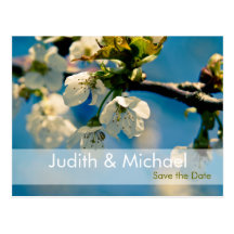 Kirschblüten • Save-the-Date-Postkarte
