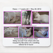 Kissia, das wohles Mousepad tut