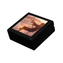 Kiteboard Geschenkbox