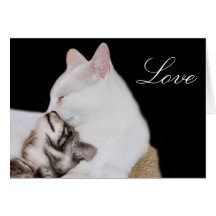 Kitty-Liebe Grußkarten