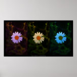 klares Trio Plakatdruck