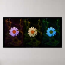 klares Trio Plakatdruck