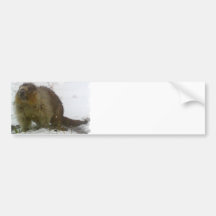 Klassiker Beavers Autoaufkleber