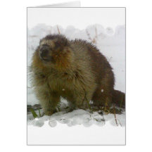 Klassiker Beavers Gruß-Karte