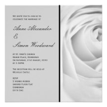 Klassische schwarze u. weiße Rose, die Invitiation Individuelle Einladung